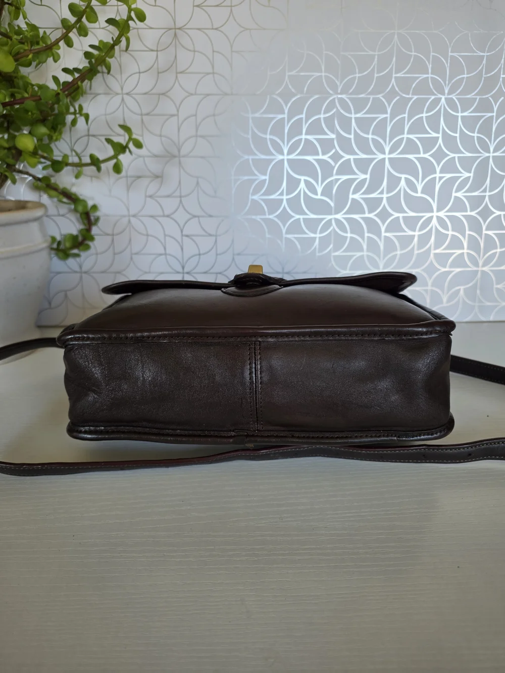 Coach iconic vintage